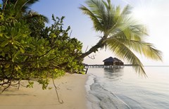 LUX* South Ari Atoll Resort & Villas - photo 17