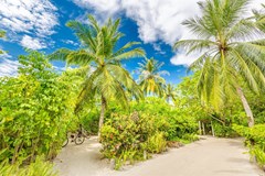 LUX* South Ari Atoll Resort & Villas - photo 59