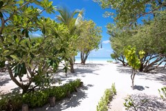 LUX* South Ari Atoll Resort & Villas - photo 14