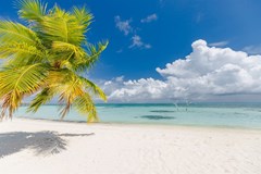 LUX* South Ari Atoll Resort & Villas - photo 55