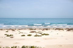 Jumeirah at Saadiyat Island Resort: Pool - photo 9