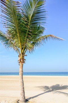 The Oberoi Beach Resort Al Zorah - photo 15