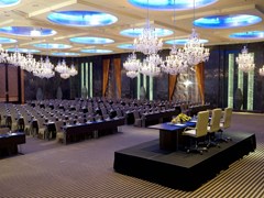 Raffles Dubai: Conference Facilities - photo 119