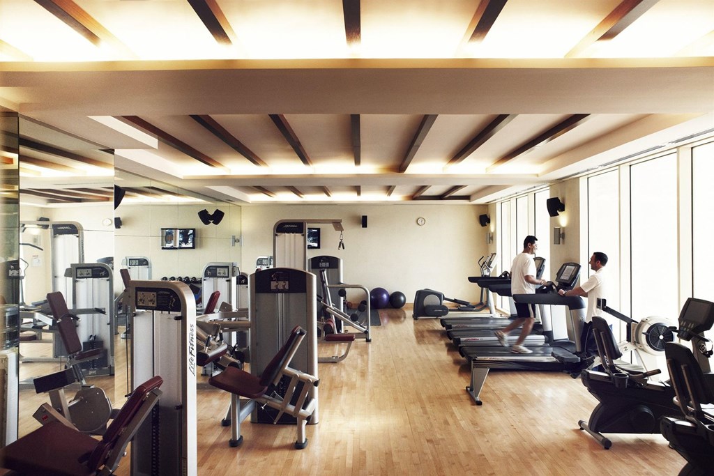 Raffles Dubai: Gym