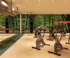 Le Meridien Mina Seyahi Beach Resort & Marina: Gym