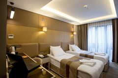 GK Regency Suites - photo 17