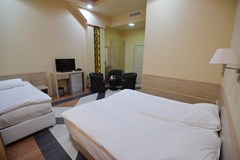 Yerevan Deluxe Hotel - photo 5