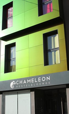 Chameleon Hostel Alicante - photo 26