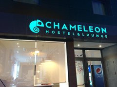 Chameleon Hostel Alicante - photo 3