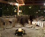 Jardin Milenio