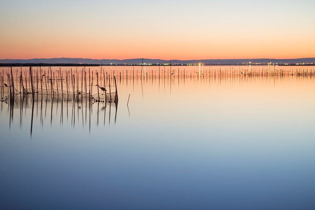 Albufera Apartotel