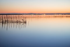 Albufera Apartotel - photo 8