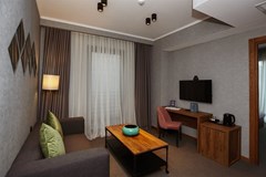 Flex Hotel - photo 12