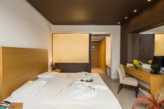 Anavadia Hotel - photo 8