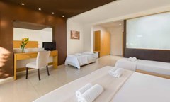 Anavadia Hotel - photo 11