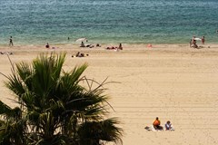 Pins Platja - photo 7