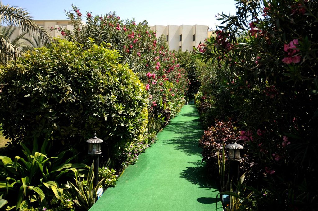BM Beach Hotel: Garden