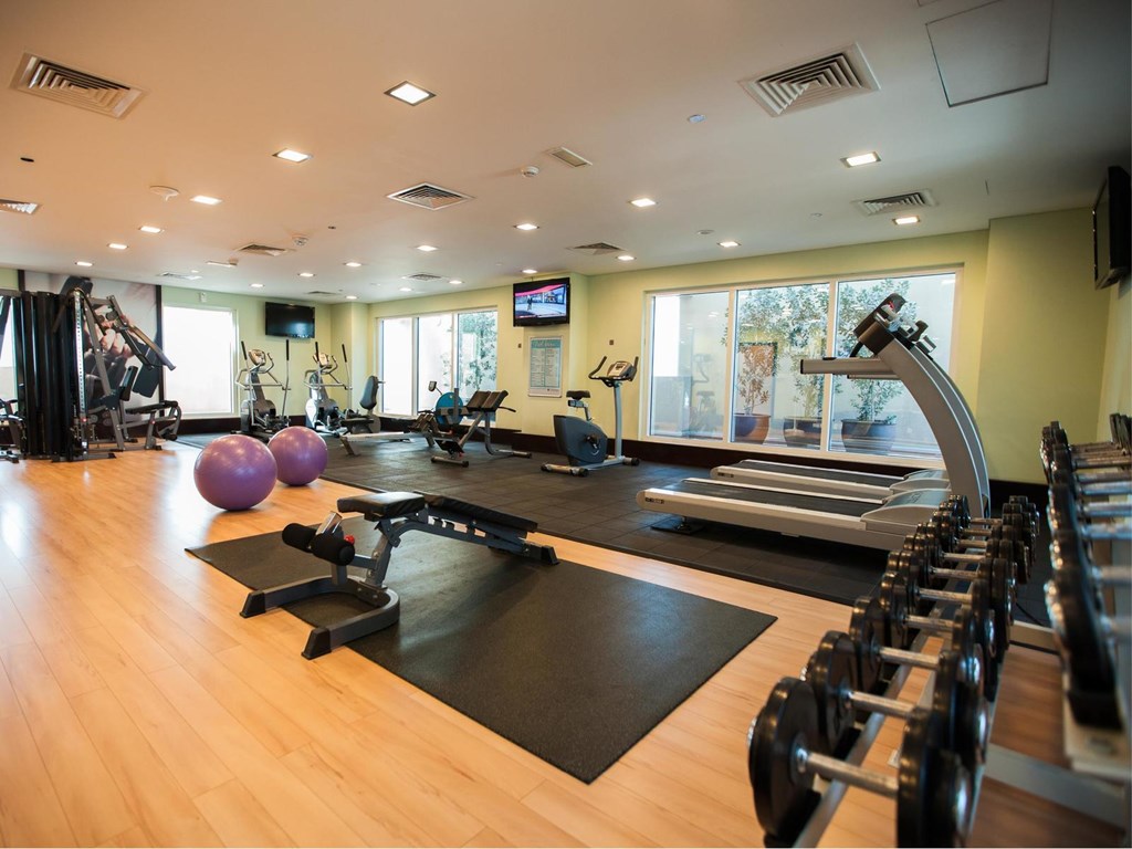 Citymax Hotel, Al Barsha at the Mall: Gym