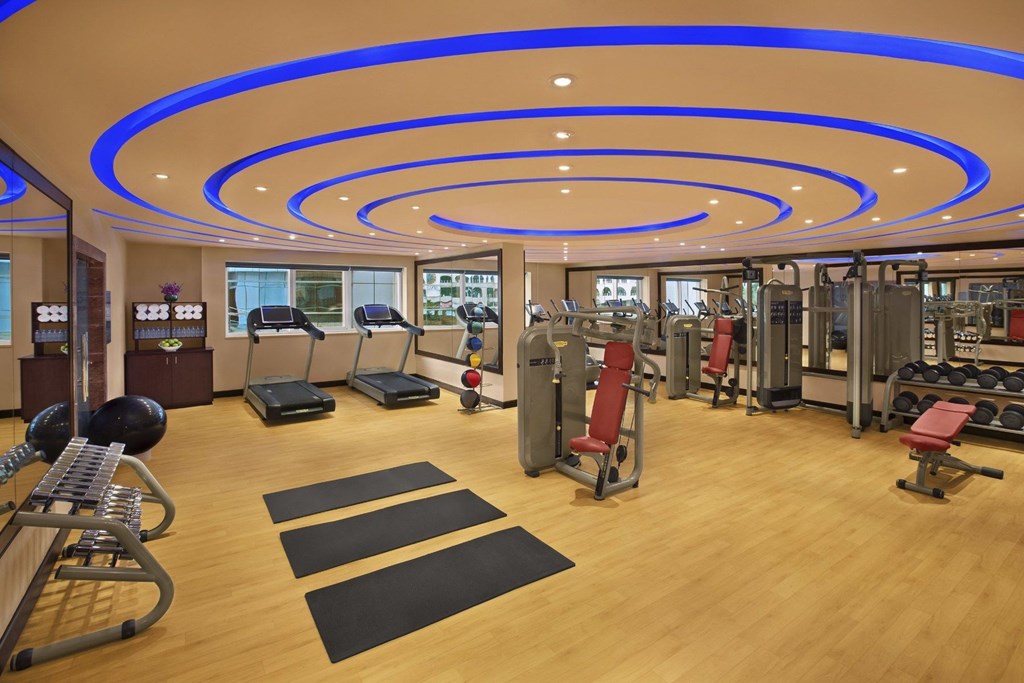 DoubleTree by Hilton Hotel and Residences Dubai – Al Barsha: Gym