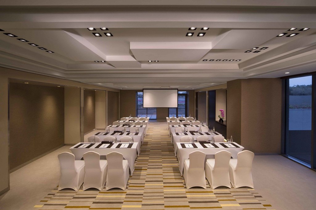 Hyatt Regency Dubai Creek Heights: Conference Facilities