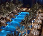 The Palace Downtown Dubai: Pool