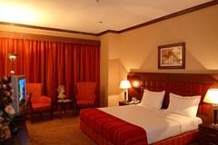 Grand Central Hotel Dubai: Room - photo 5