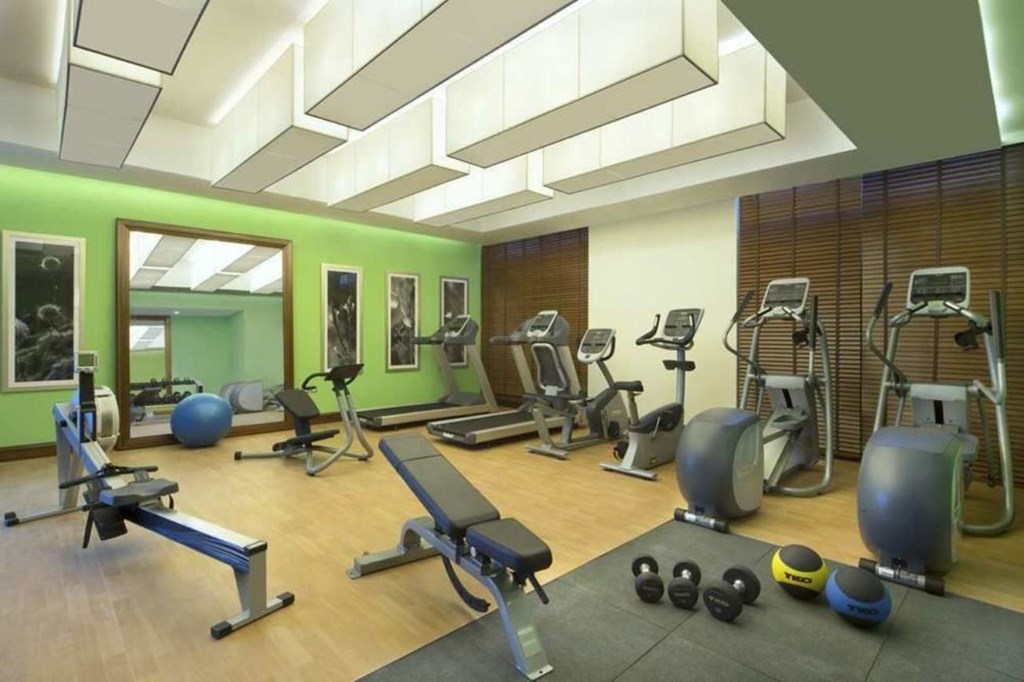 Hilton Garden Inn Dubai Al Muraqabat: Gym
