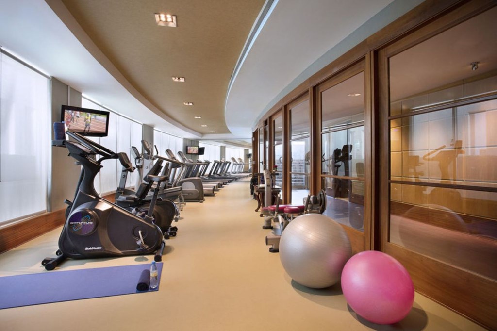 Jood Palace Hotel: Gym