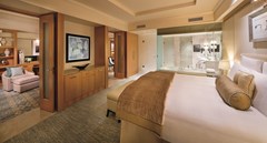 The Ritz Carlton Dubai International Financial Centre: Room - photo 3