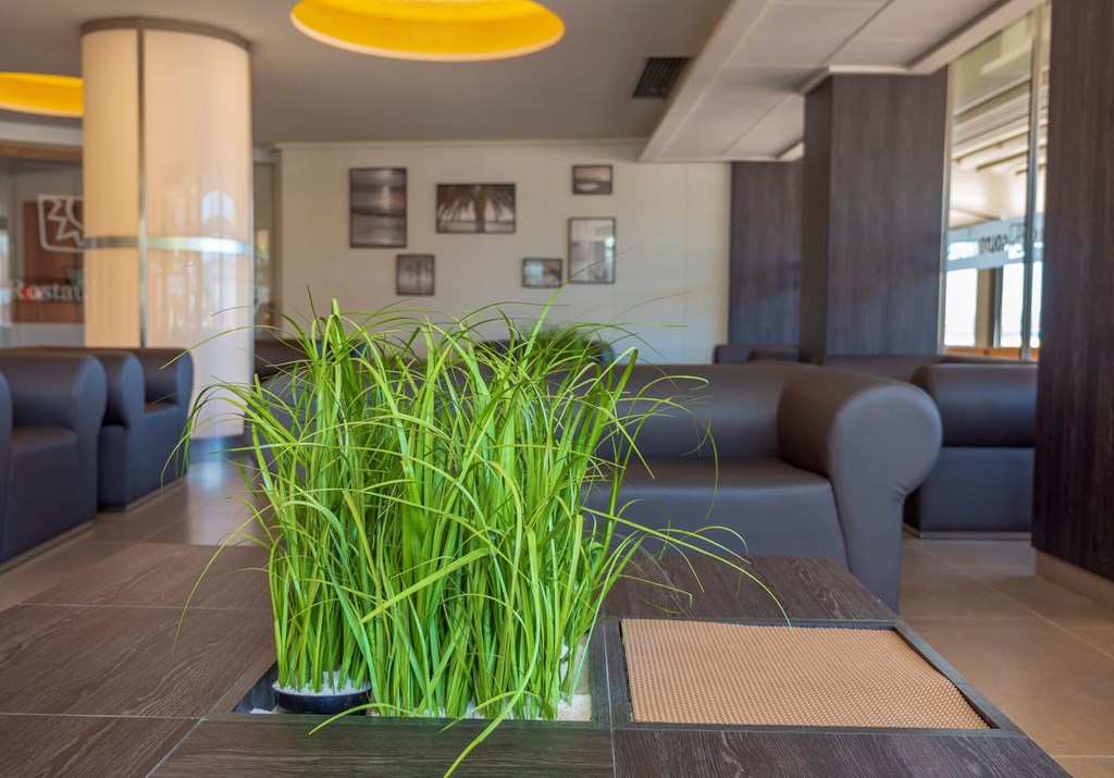 Golden Donaire Beach: Lobby