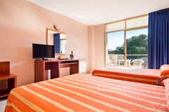 Hotel Best Sol d'Or: Room Double or Twin STANDARD - photo 8