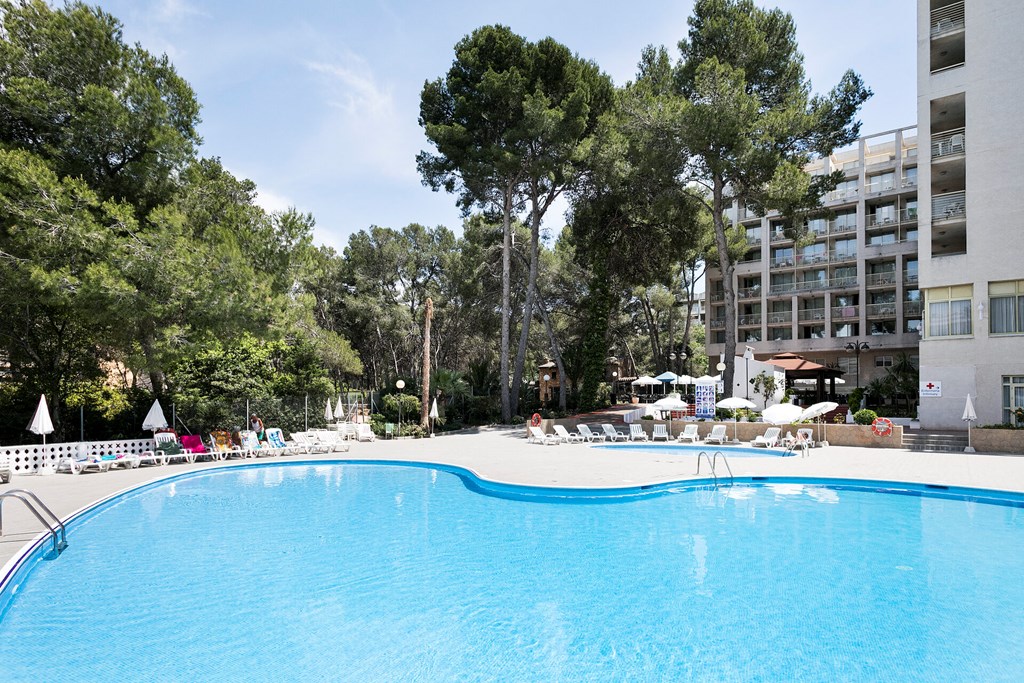 Hotel Best Mediterraneo: Pool