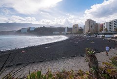 Checkin Concordia Playa: Beach - photo 37