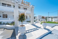 Aloe Plus Hotel: General view - photo 65