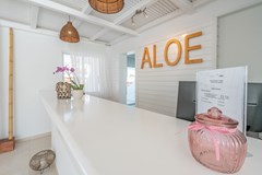 Aloe Plus Hotel: Lobby - photo 29