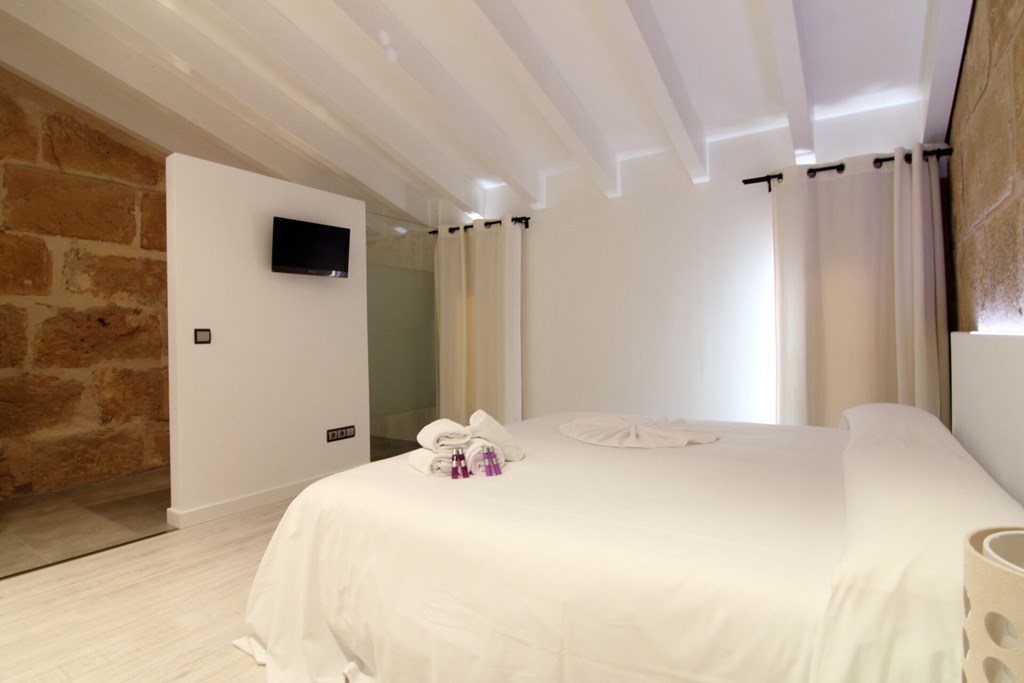 Alcudia Petit: Room DOUBLE SINGLE USE STANDARD