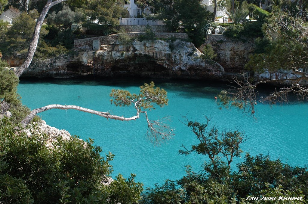 Playa Ferrera: Beach