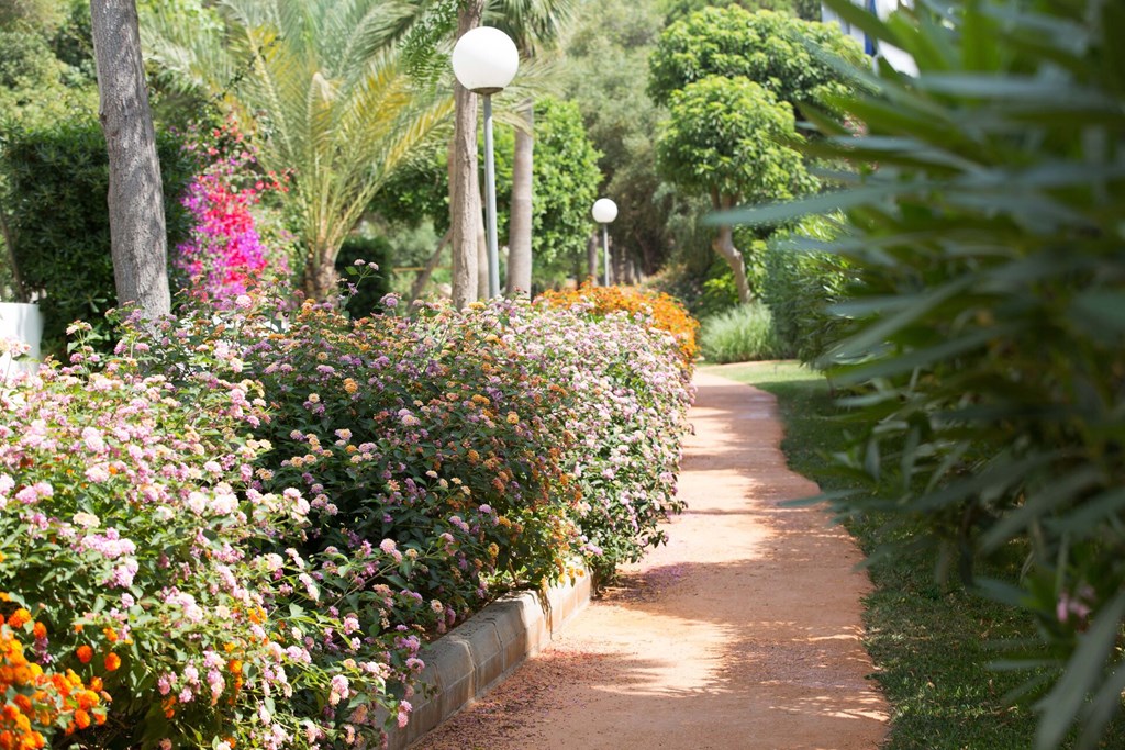 Gavimar Cala Gran Costa Del Sur: General view