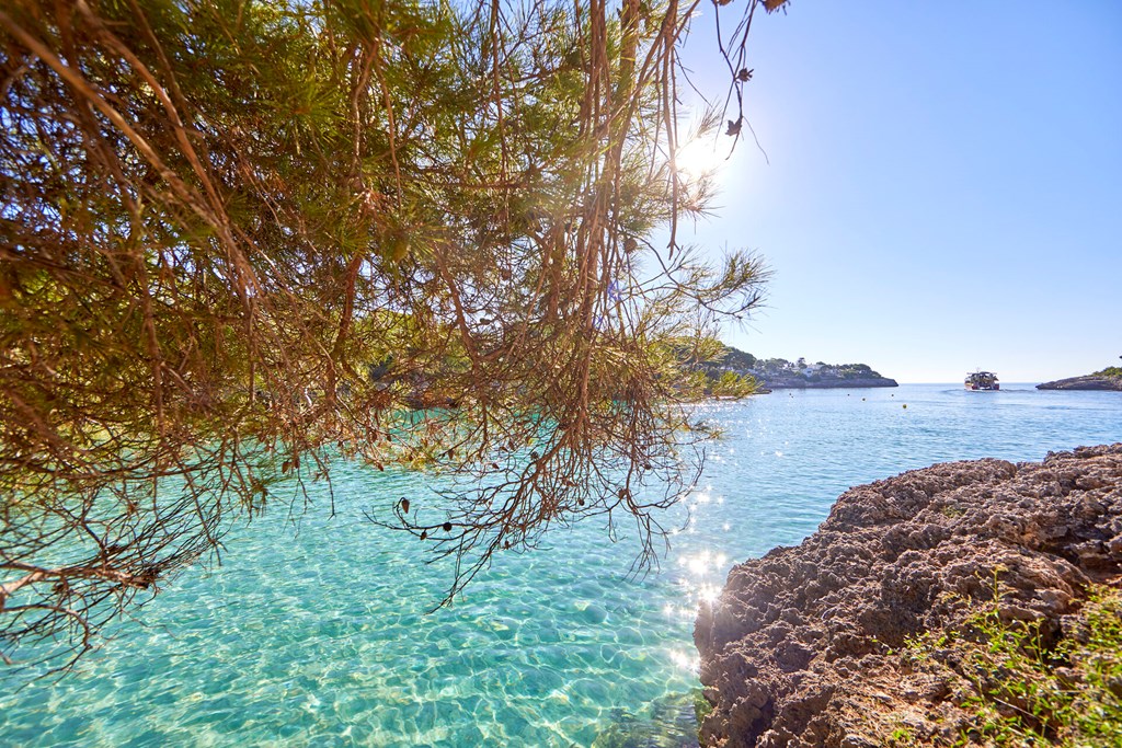 Gavimar Cala Gran Costa Del Sur: Beach