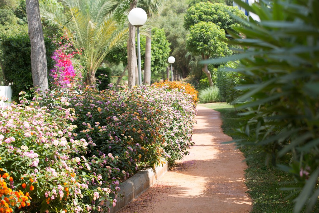 Gavimar Cala Gran Costa Del Sur: Terrace