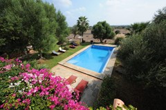 Finca s'Antigor: Pool - photo 11