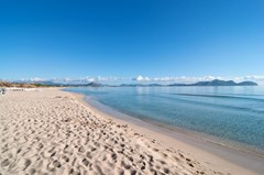 Eix Platja Daurada: Beach - photo 4