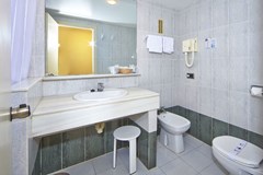 Flamboyan - Caribe: Room Double or Twin STANDARD - photo 41