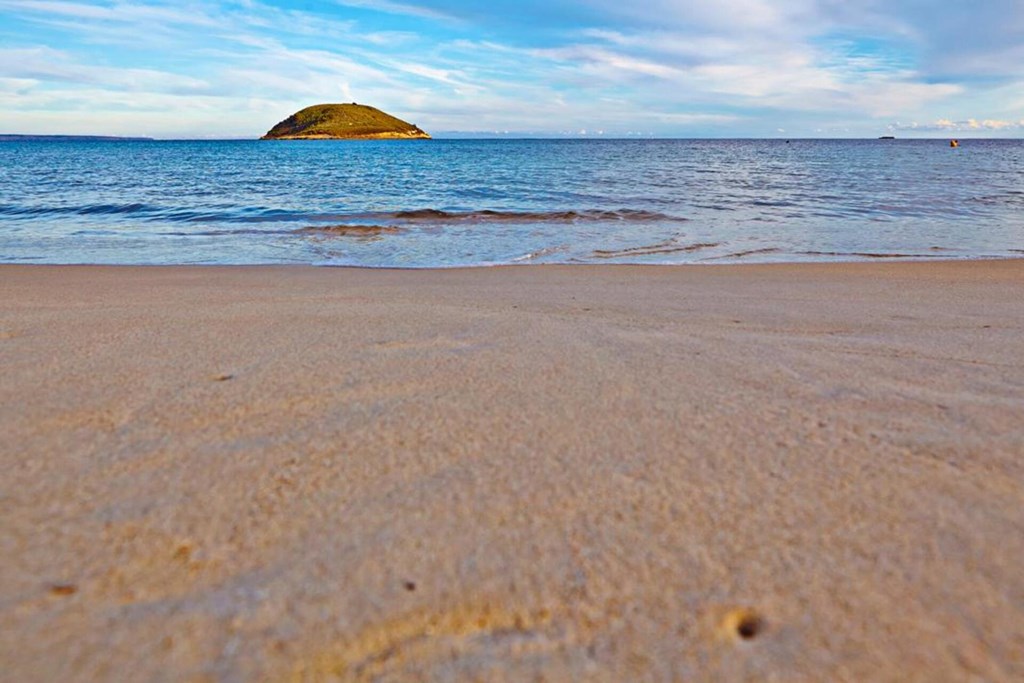 Flamboyan - Caribe: Beach