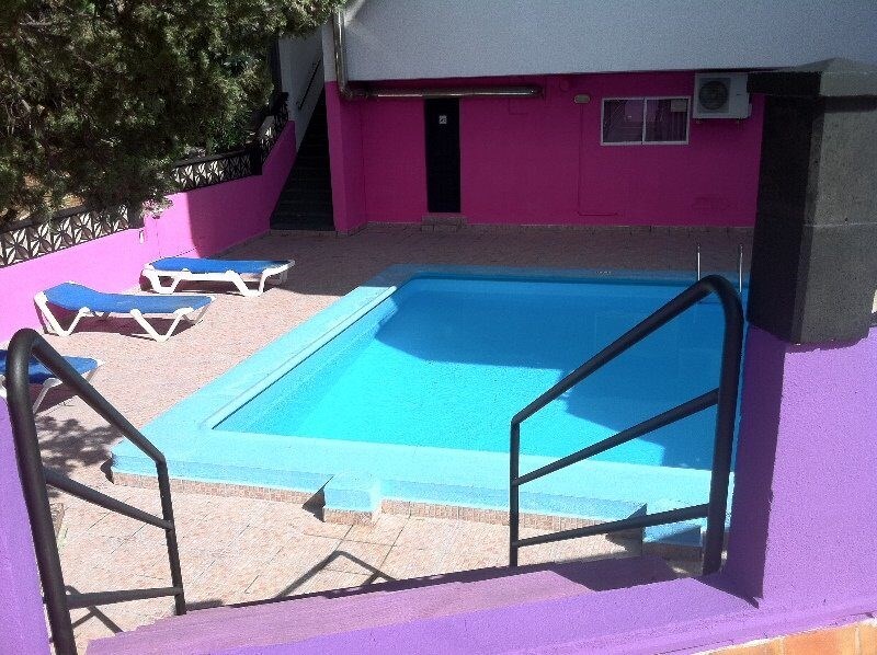 Coconut Apartments: Pool