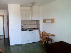 Coconut Apartments: Room - photo 1