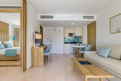 Zafiro Palmanova: Room APARTMENT PREMIUM - photo 39