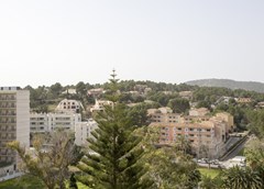 Las Palomas Econotels: General view - photo 34