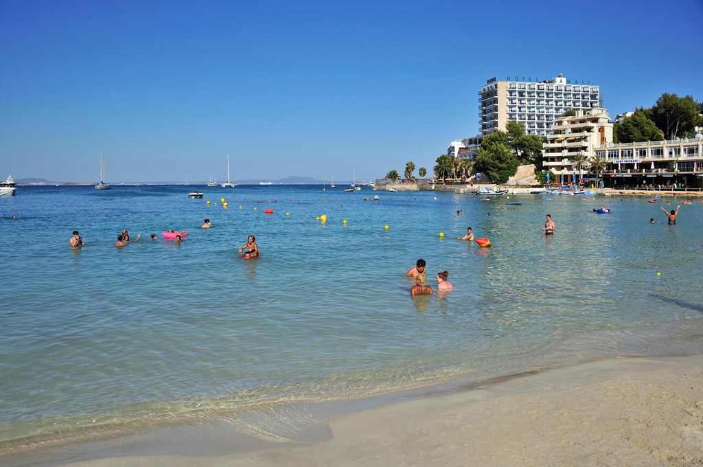 Alua Palmanova Bay: Beach