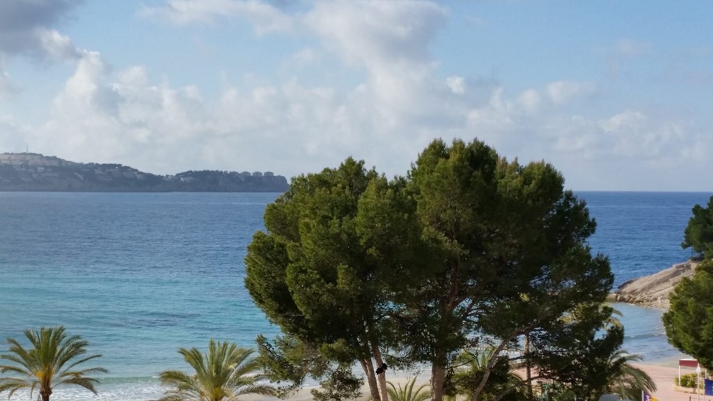 Hotel Creta Paguera: General view